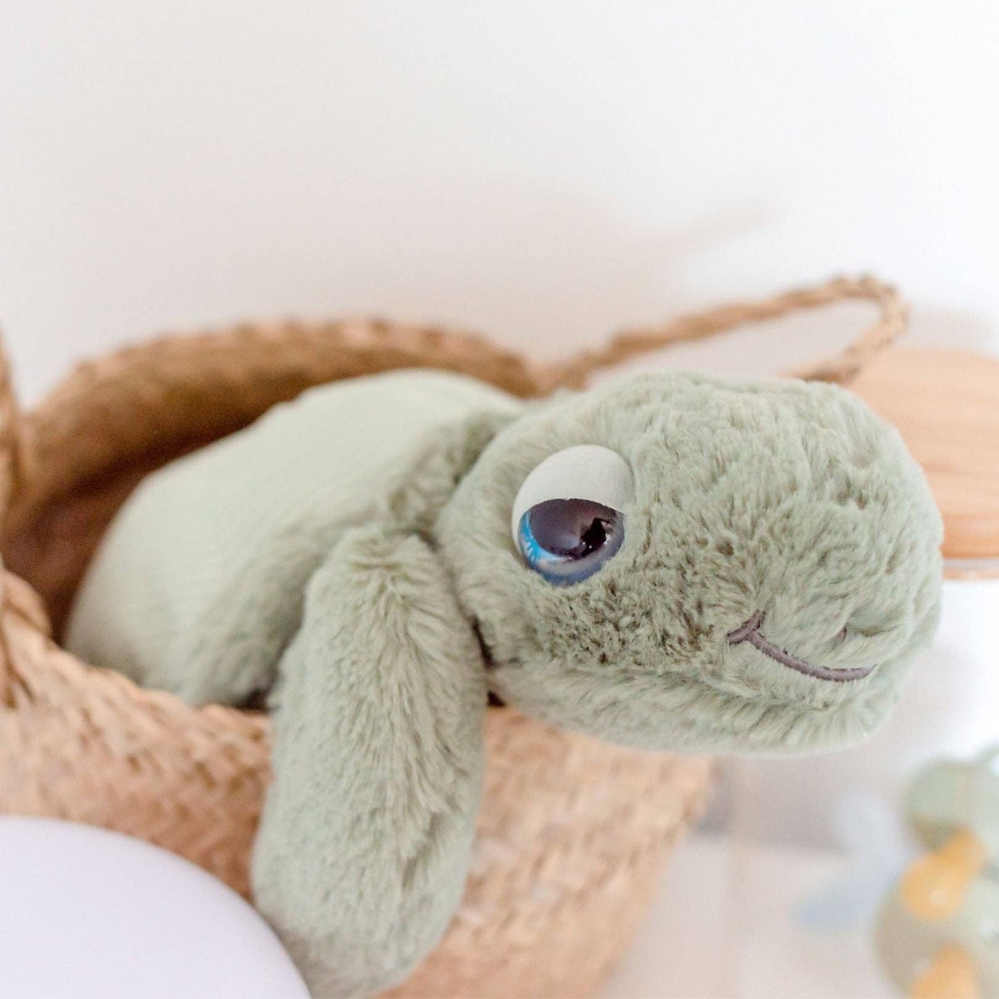 Tyler the Turtle