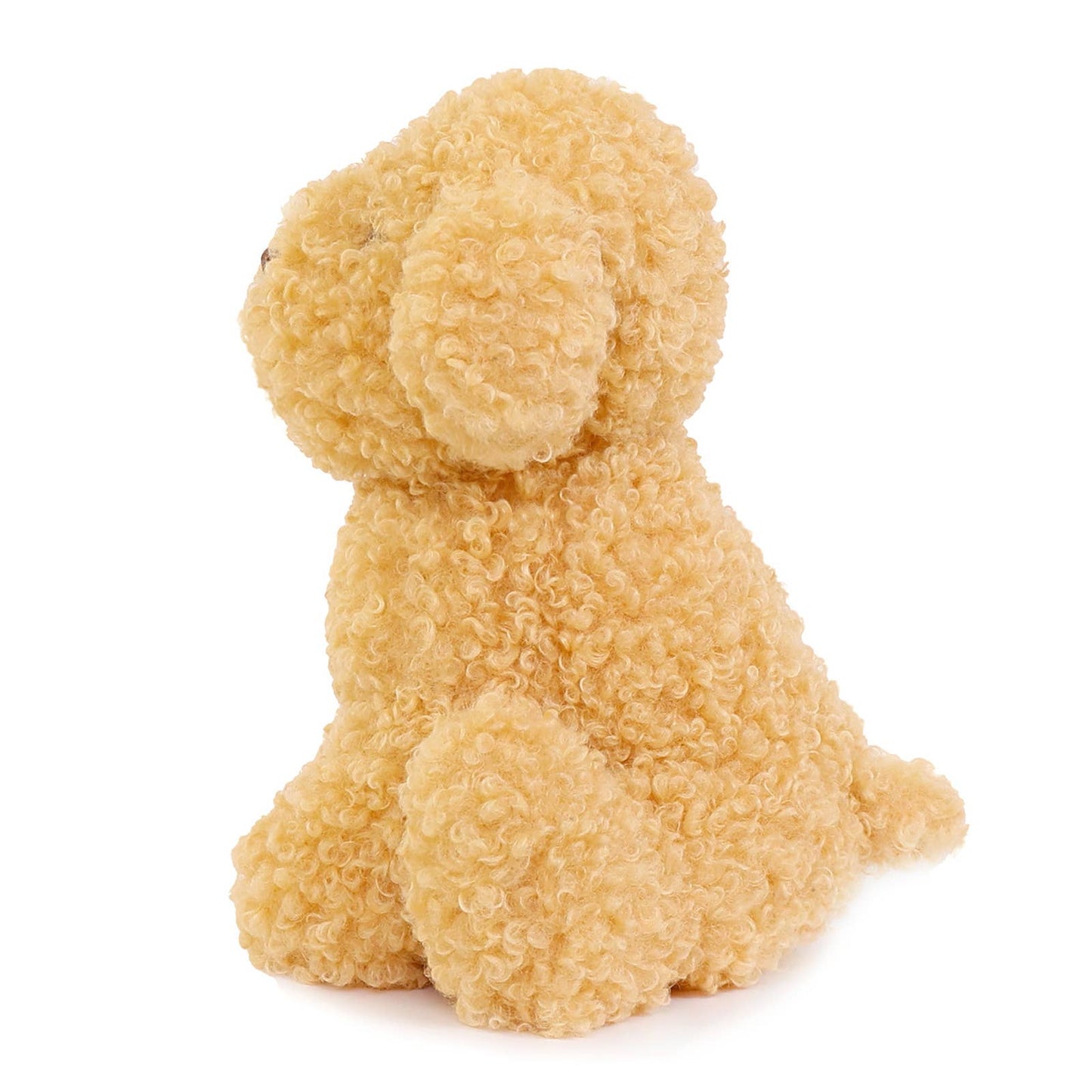 Luca the Labradoodle