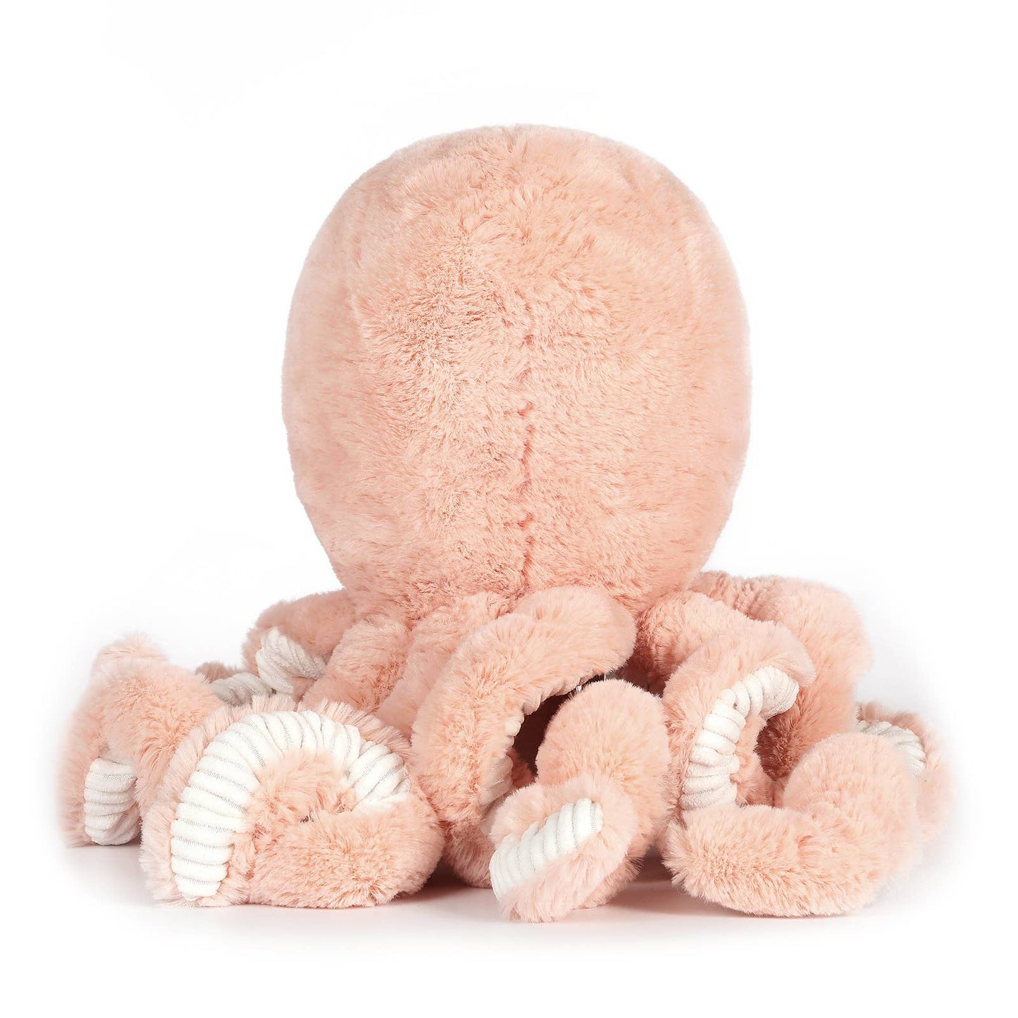 Cove the Octopus
