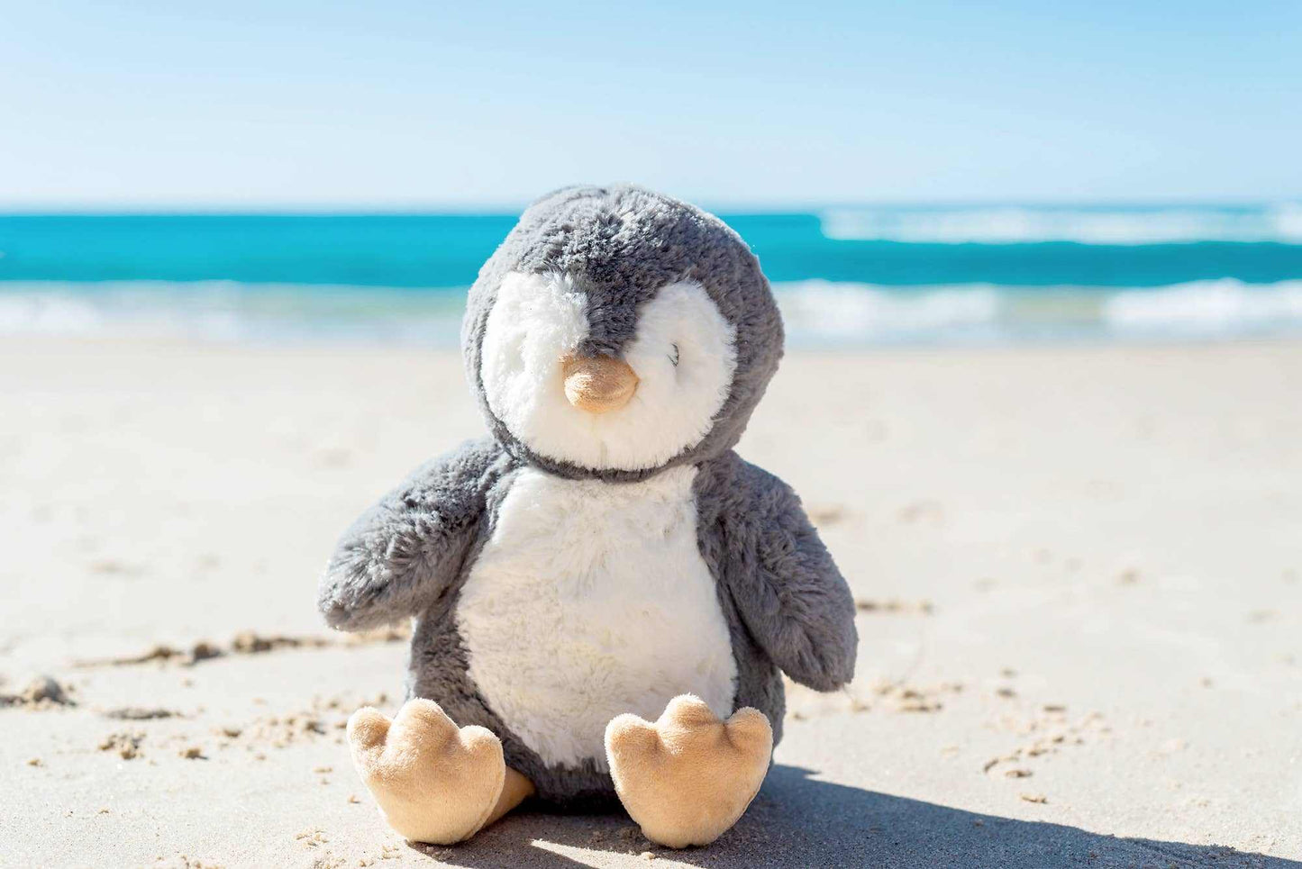 Bigger Iggy the Penguin soft toy plush sitting on sandy beach with ocean background