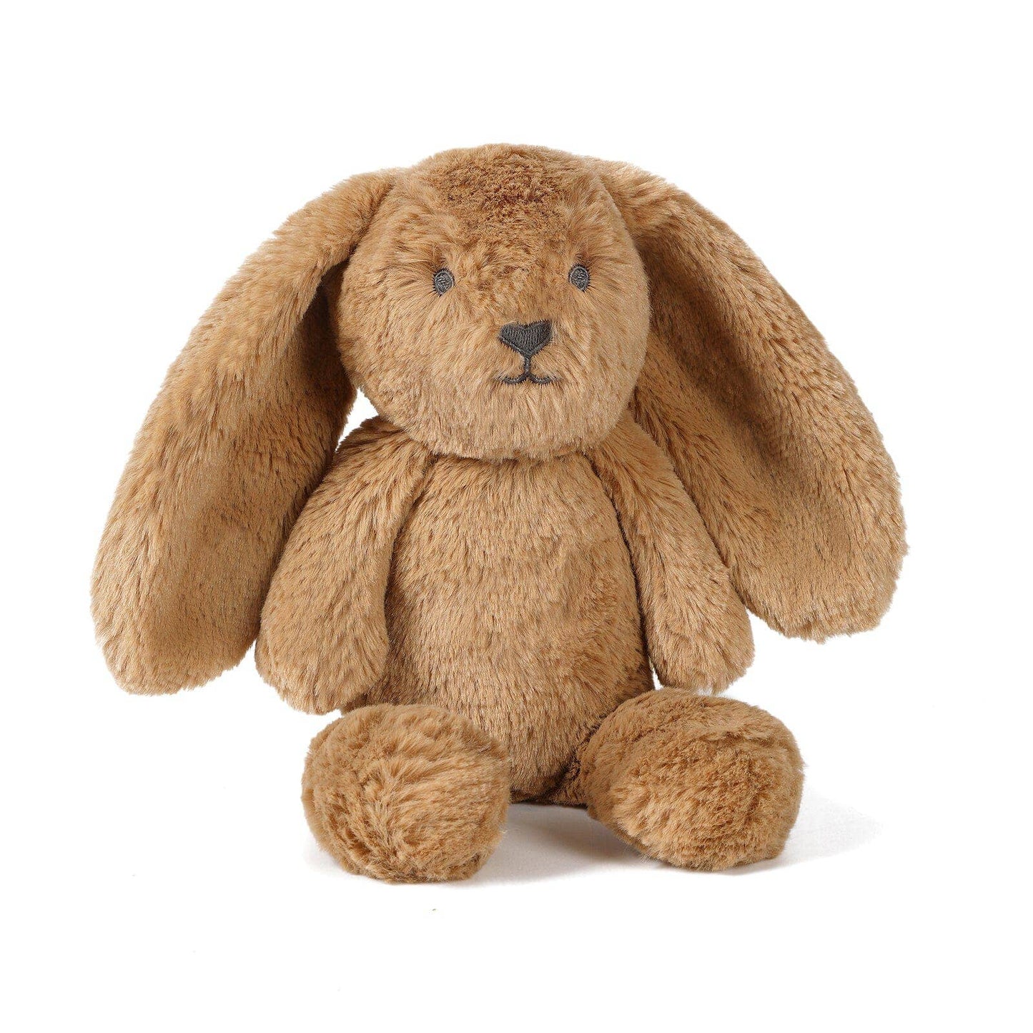 Little Bailey the Bunny