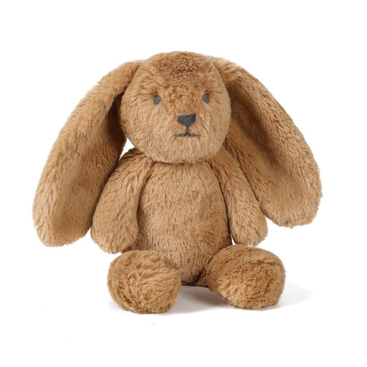 Little Bailey the Bunny
