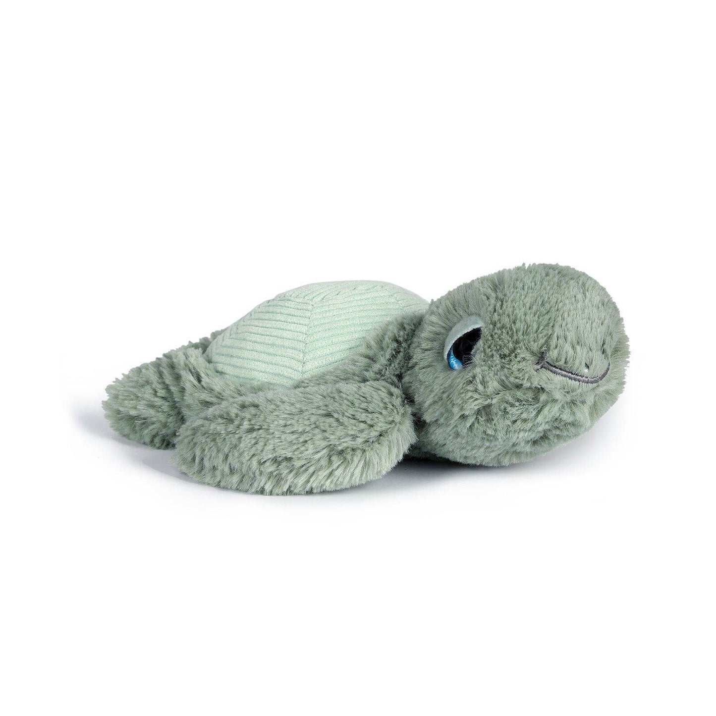 Little Tyler the Turtle Soft Toy