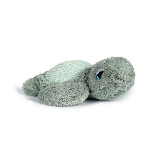 Little Tyler the Turtle Soft Toy