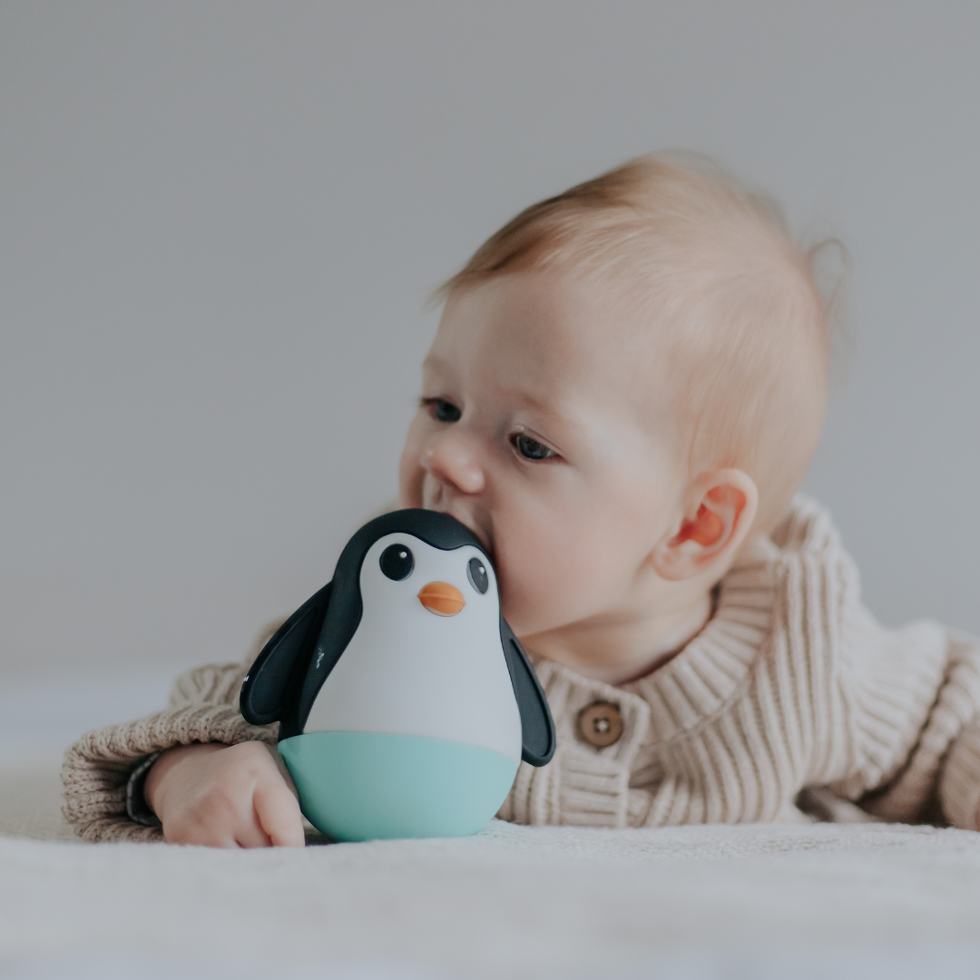Sensory Wobbly Penguin
