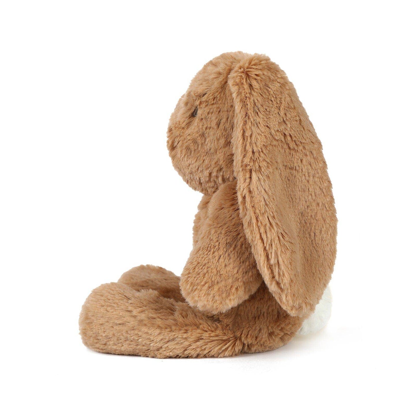 Little Bailey the Bunny