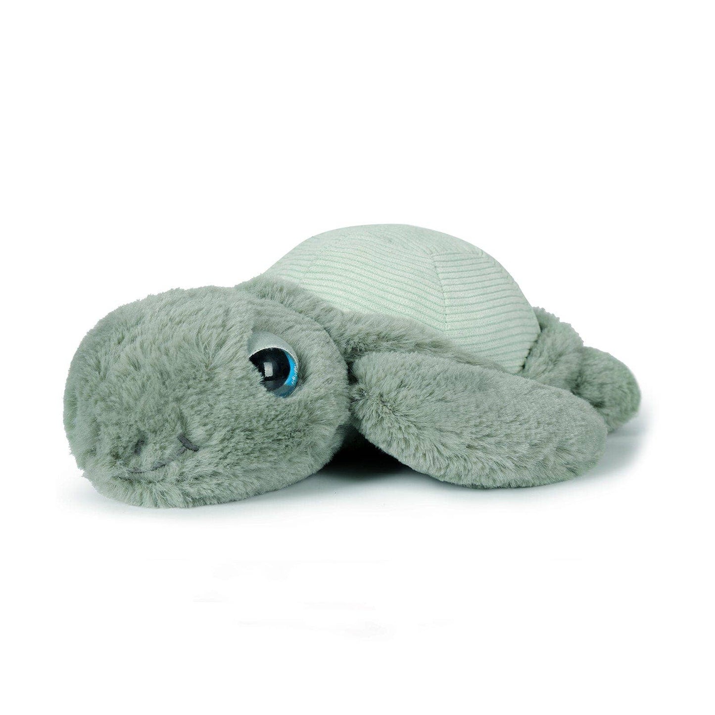 Little Tyler the Turtle Soft Toy
