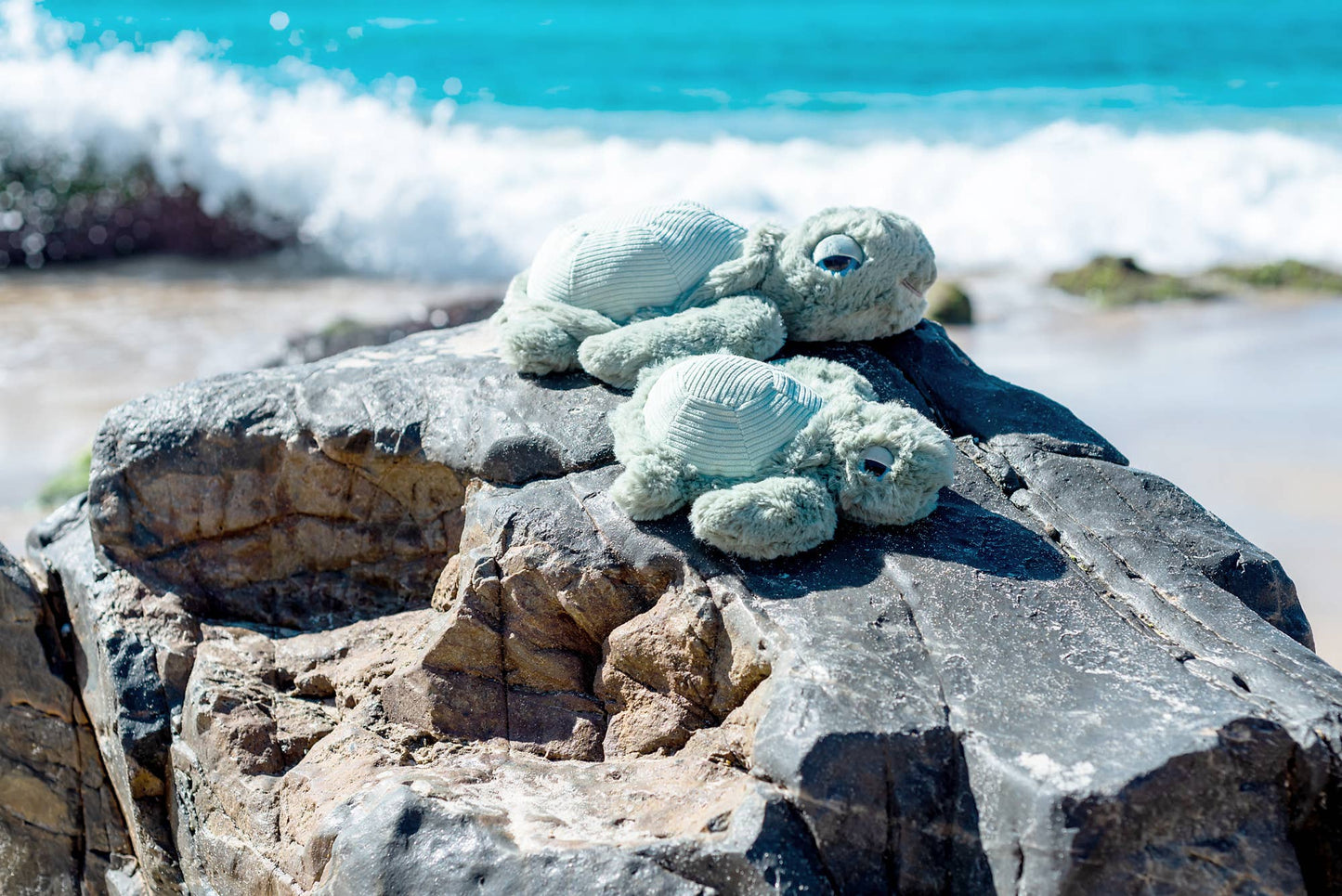 Little Tyler the Turtle Soft Toy