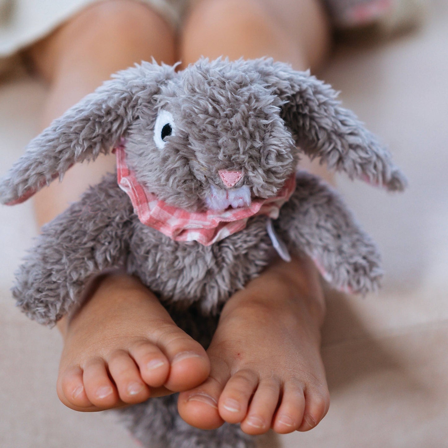 Eloise the Bunny