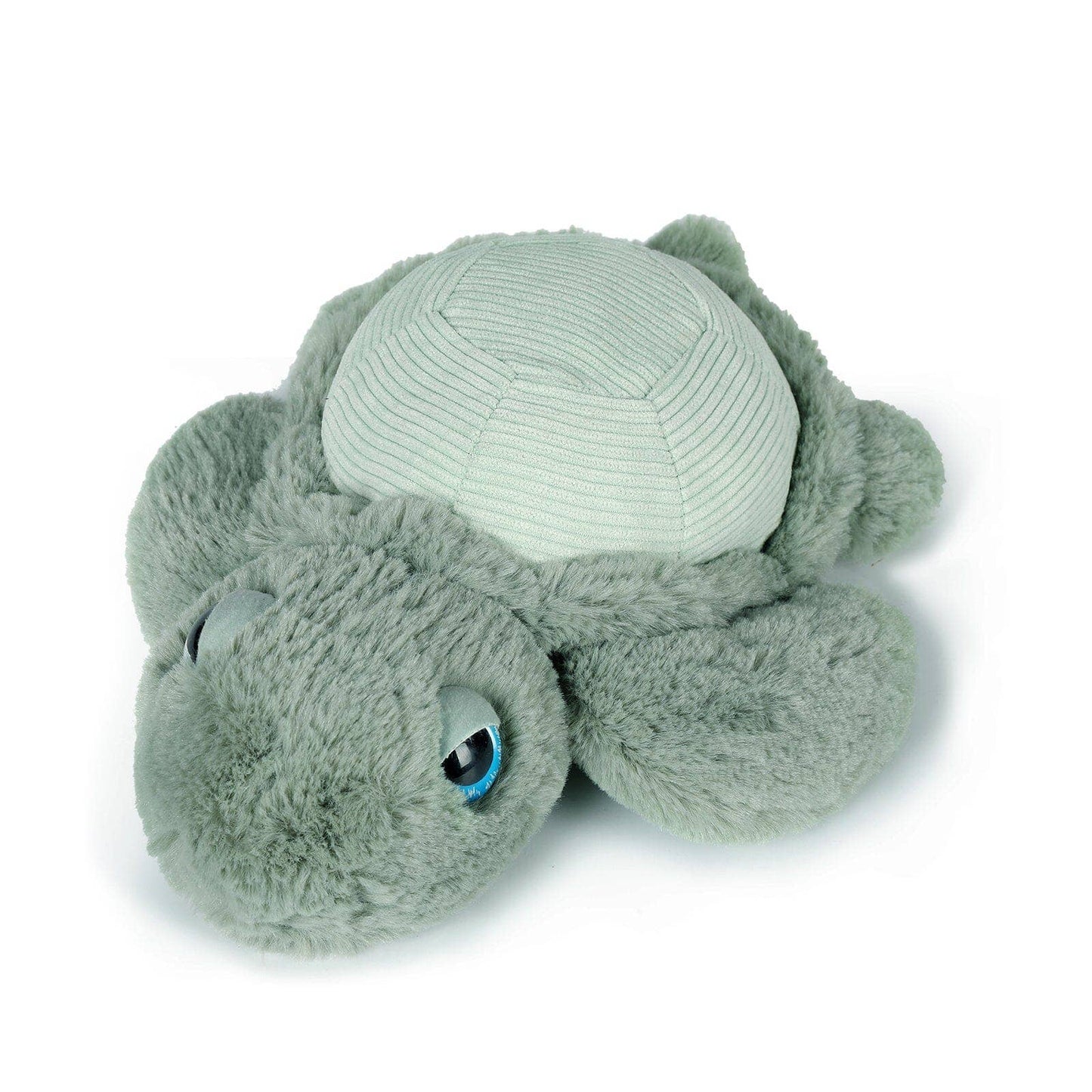 Little Tyler the Turtle Soft Toy