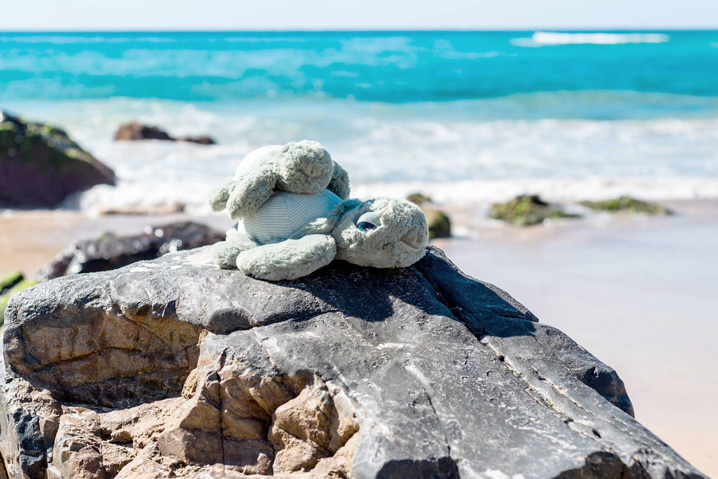 Little Tyler the Turtle Soft Toy