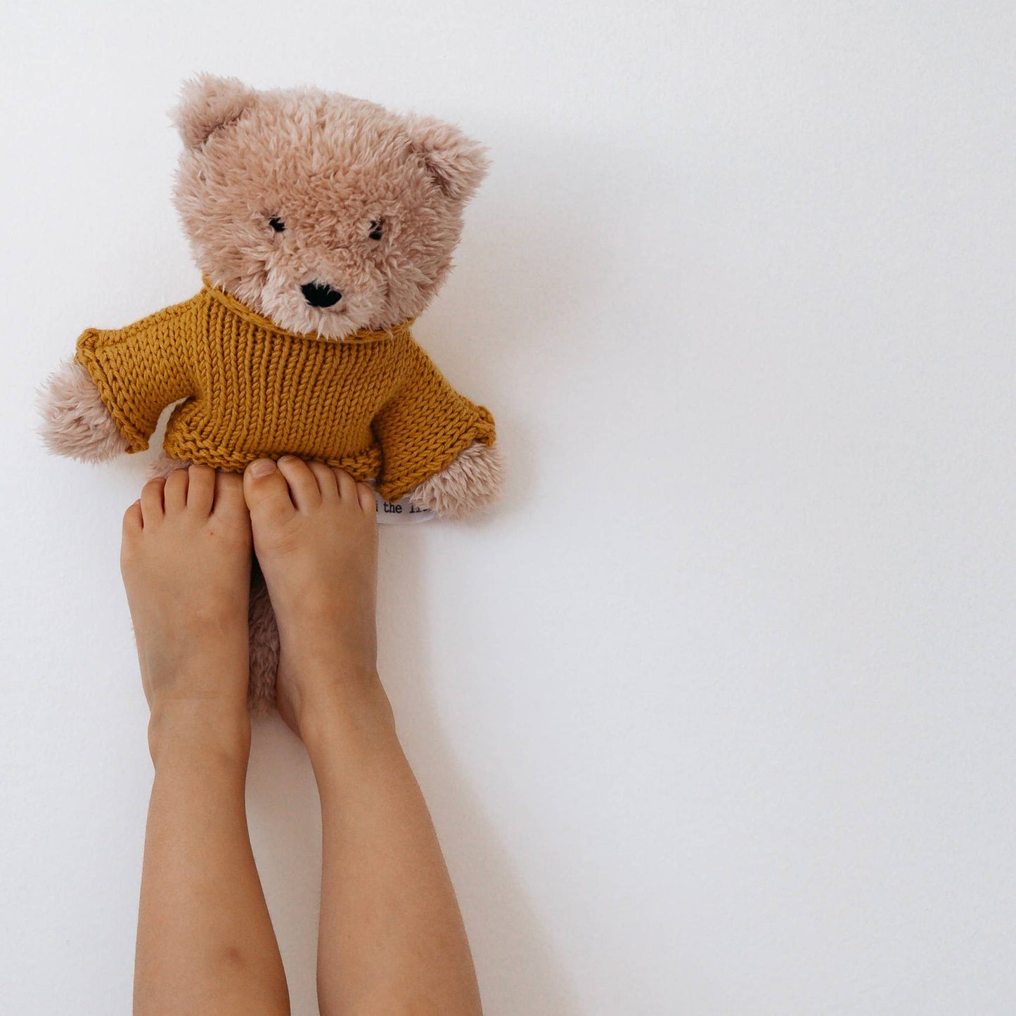 Dulcie the Bear