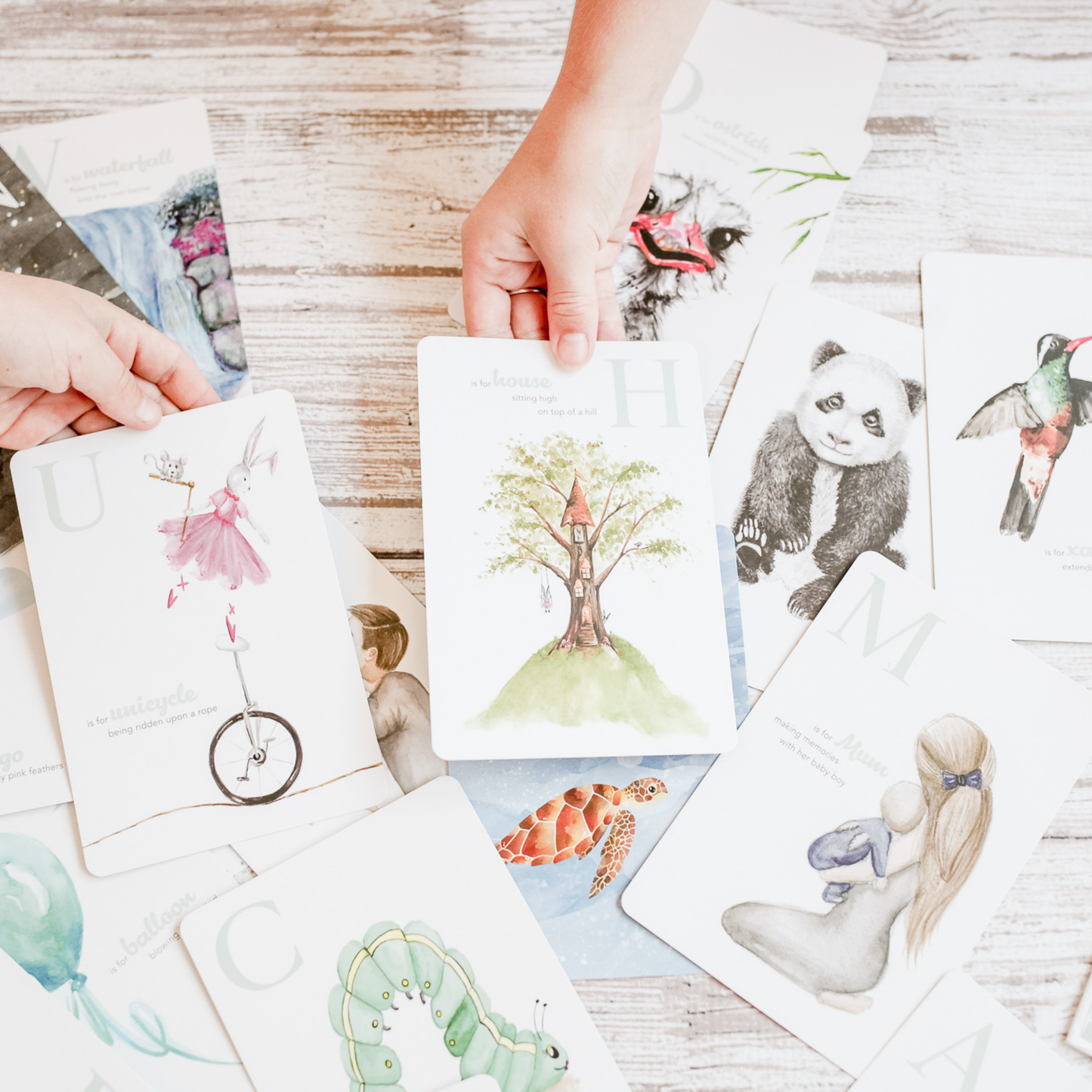 The Amazing ABC Flash Cards
