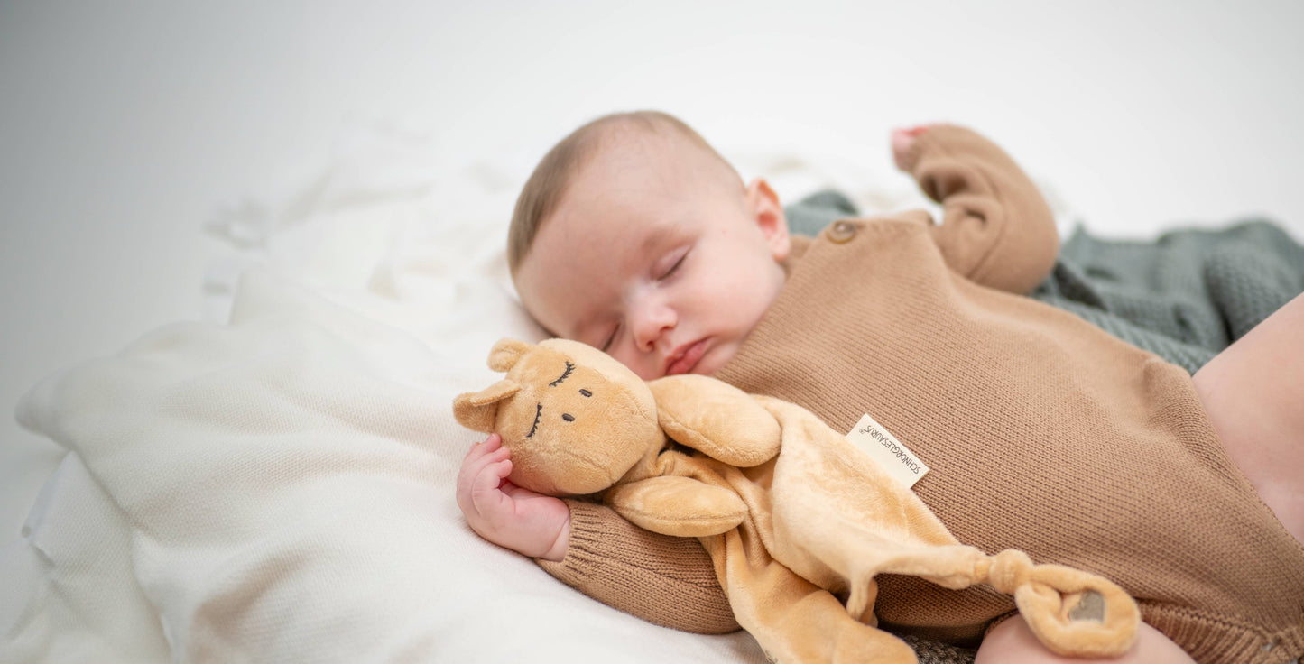 Love you all the Roars Board Book & Ezra Comforter Set