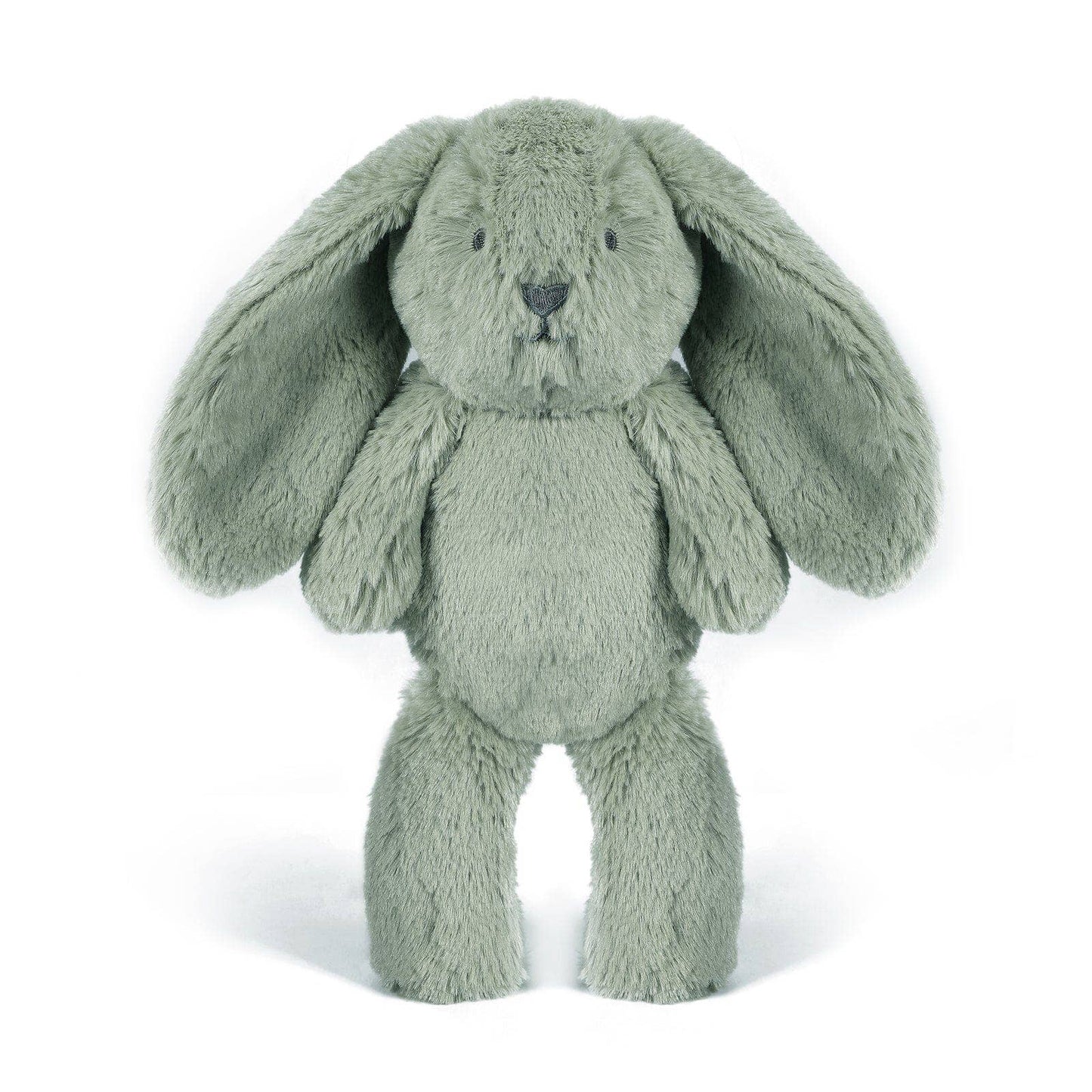 Beau the Bunny