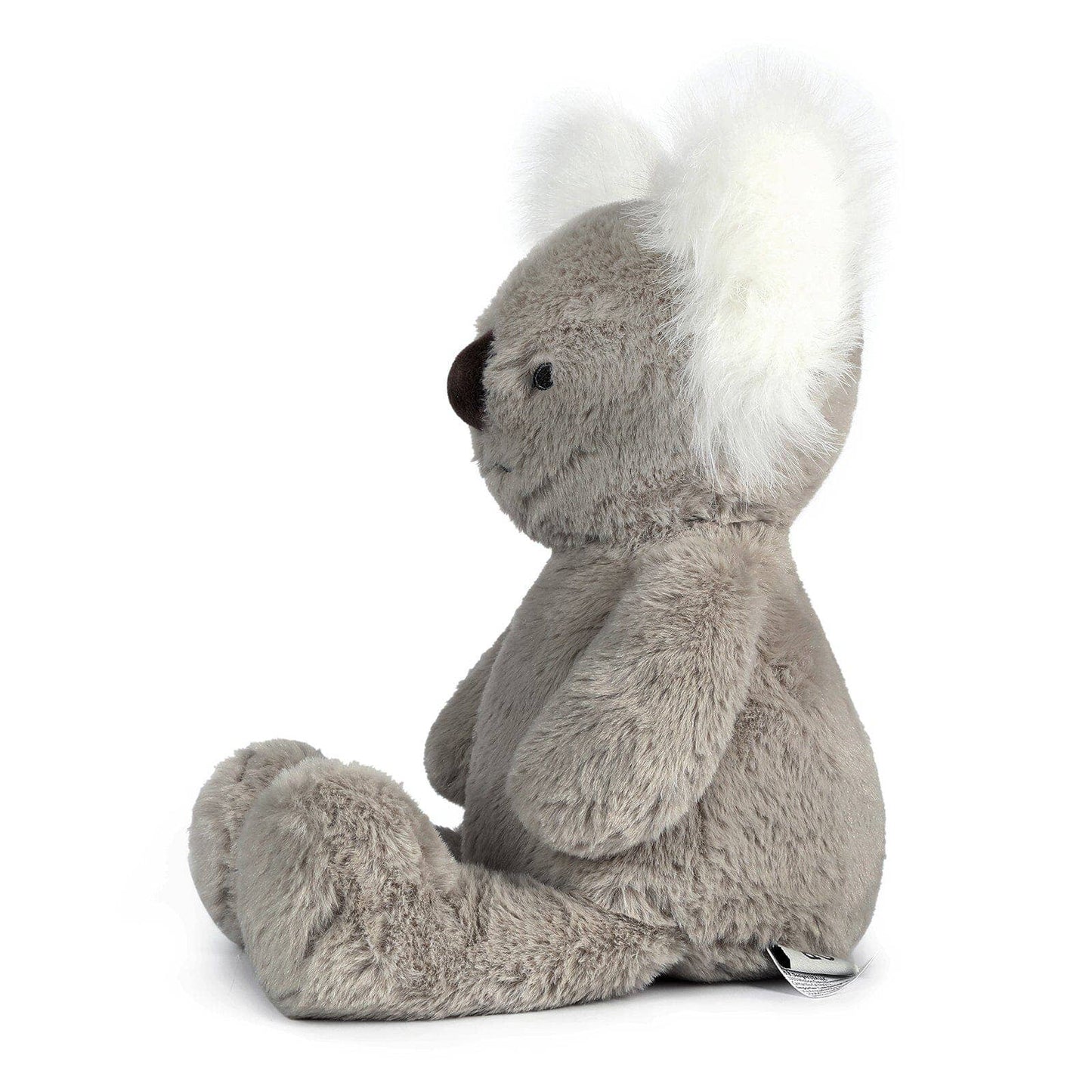 Kobi the Koala