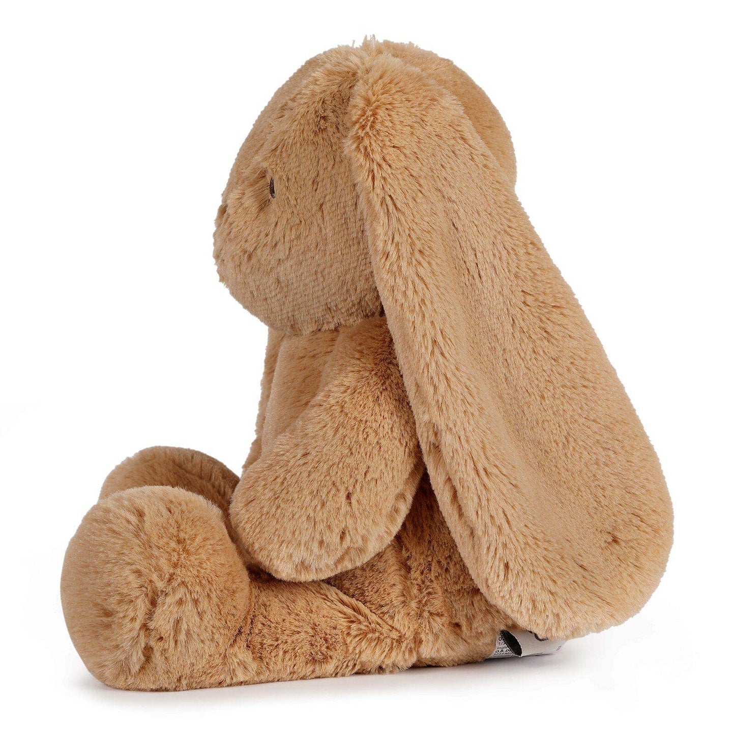 Bigger Bailey the Bunny