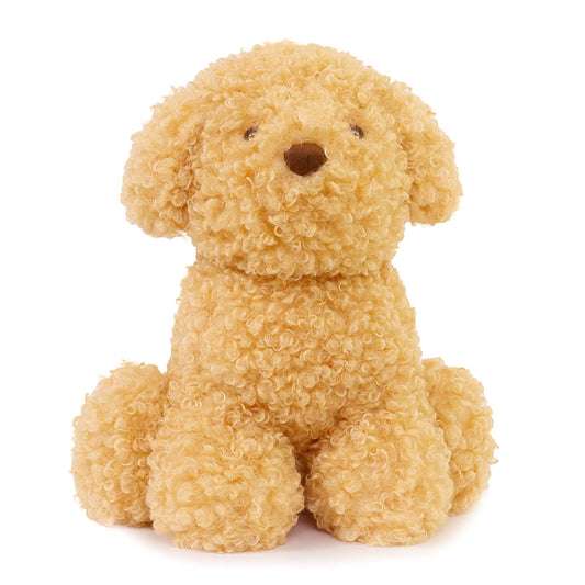 Luca the Labradoodle