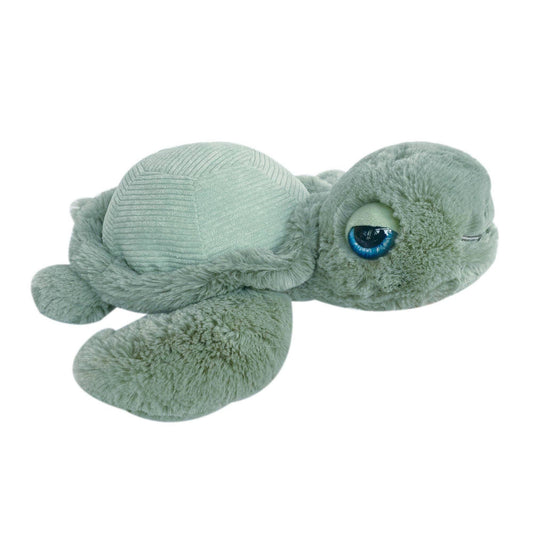 Tyler the Turtle
