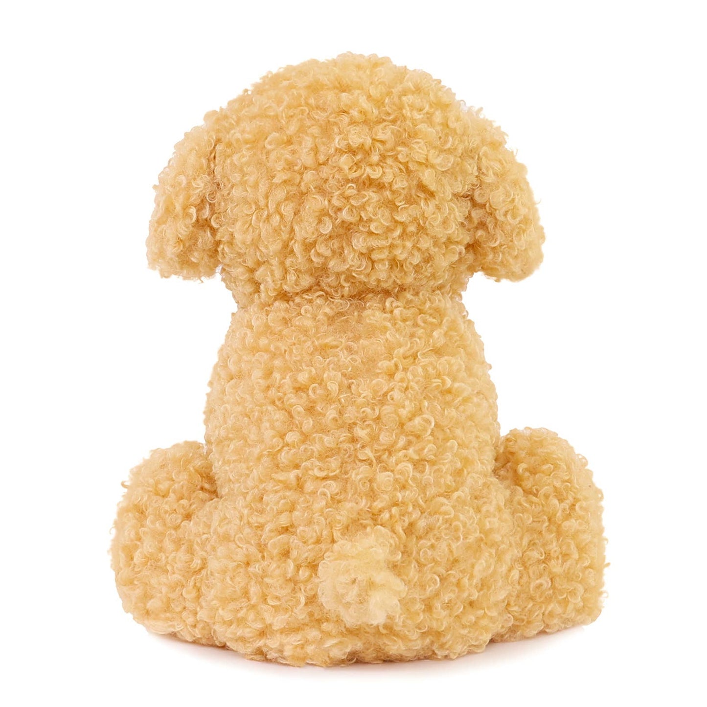 Luca the Labradoodle