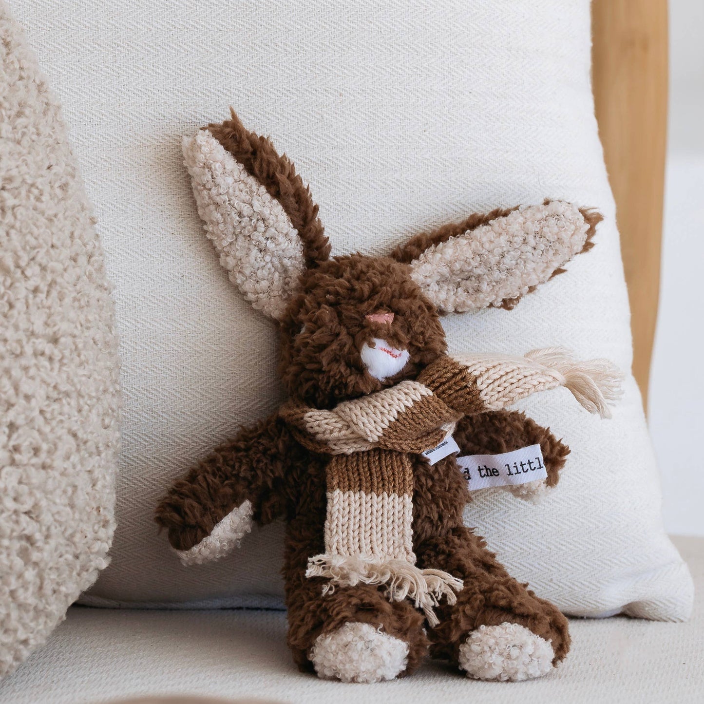 Frankie Jr. the Bunny