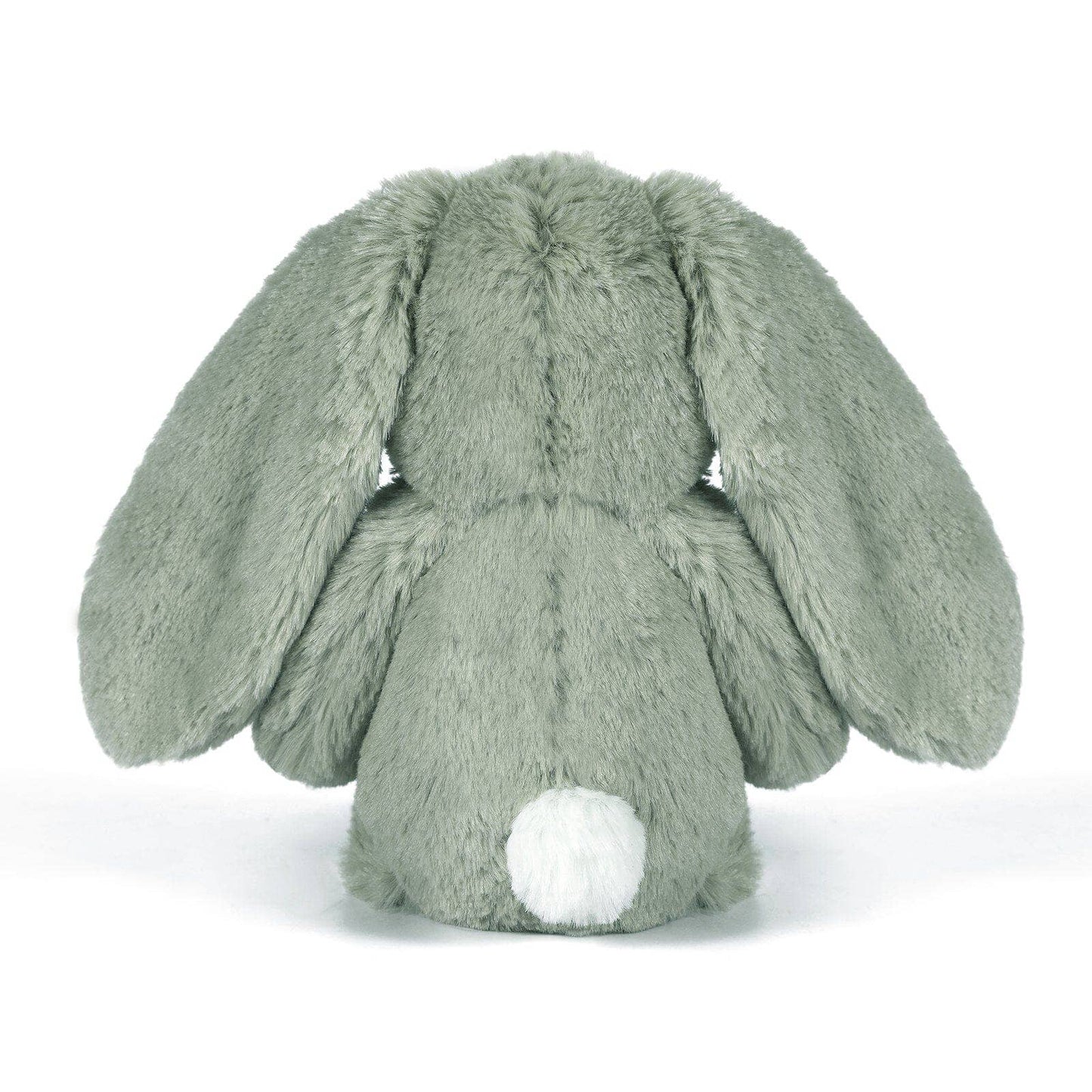 Beau the Bunny