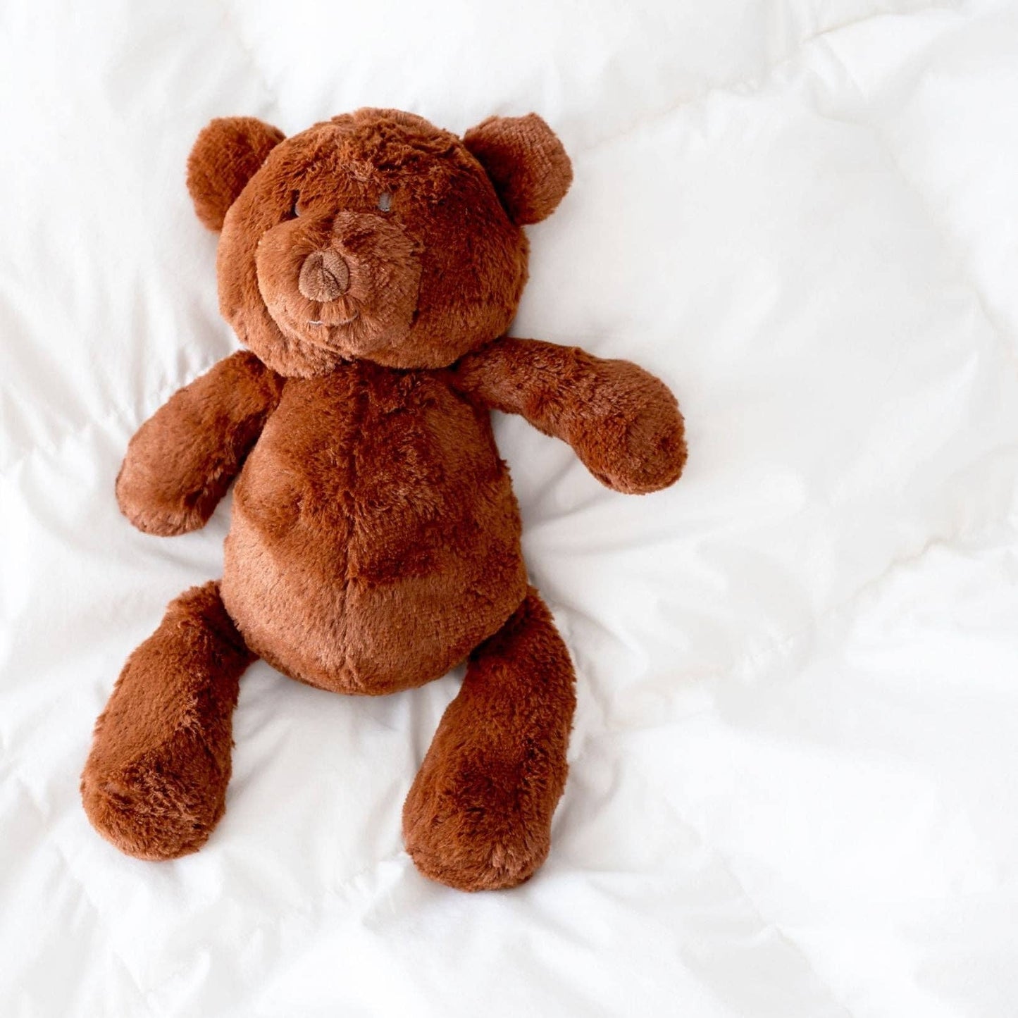 Maple the Bear