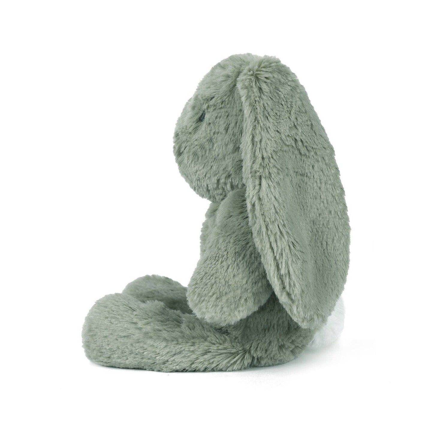 Beau the Bunny