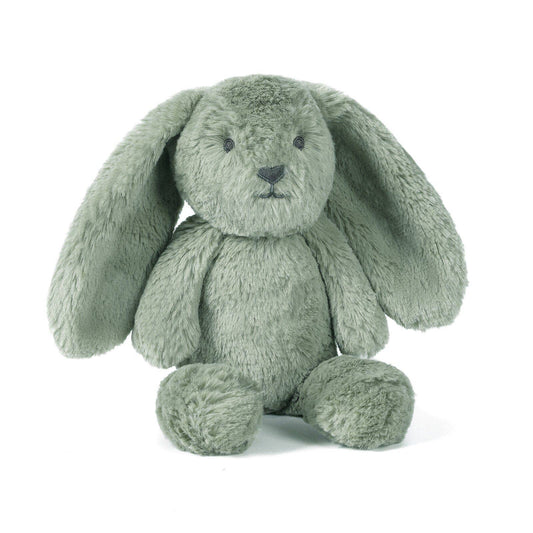 Beau the Bunny