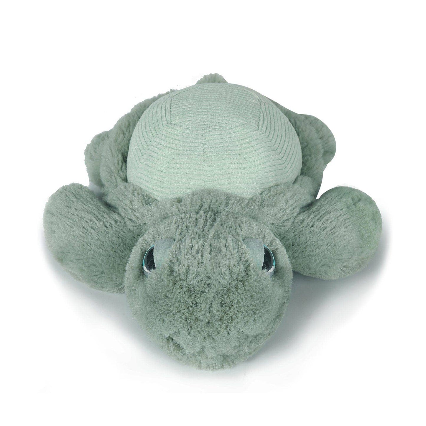 Little Tyler the Turtle Soft Toy